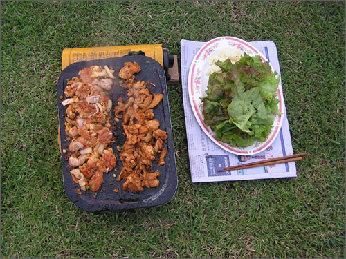 숯불에 석쇠를 얹고 구워 먹으면 맛이 더 좋습니다. 석쇠에 굽는 닭불고기 냄새가 얼마나 좋은지 지나가는 사람들의 군침을 다 돋게 합니다. 